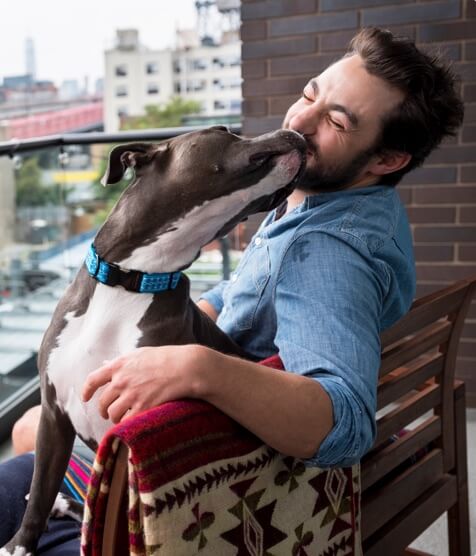 Weebly customer’s online stores